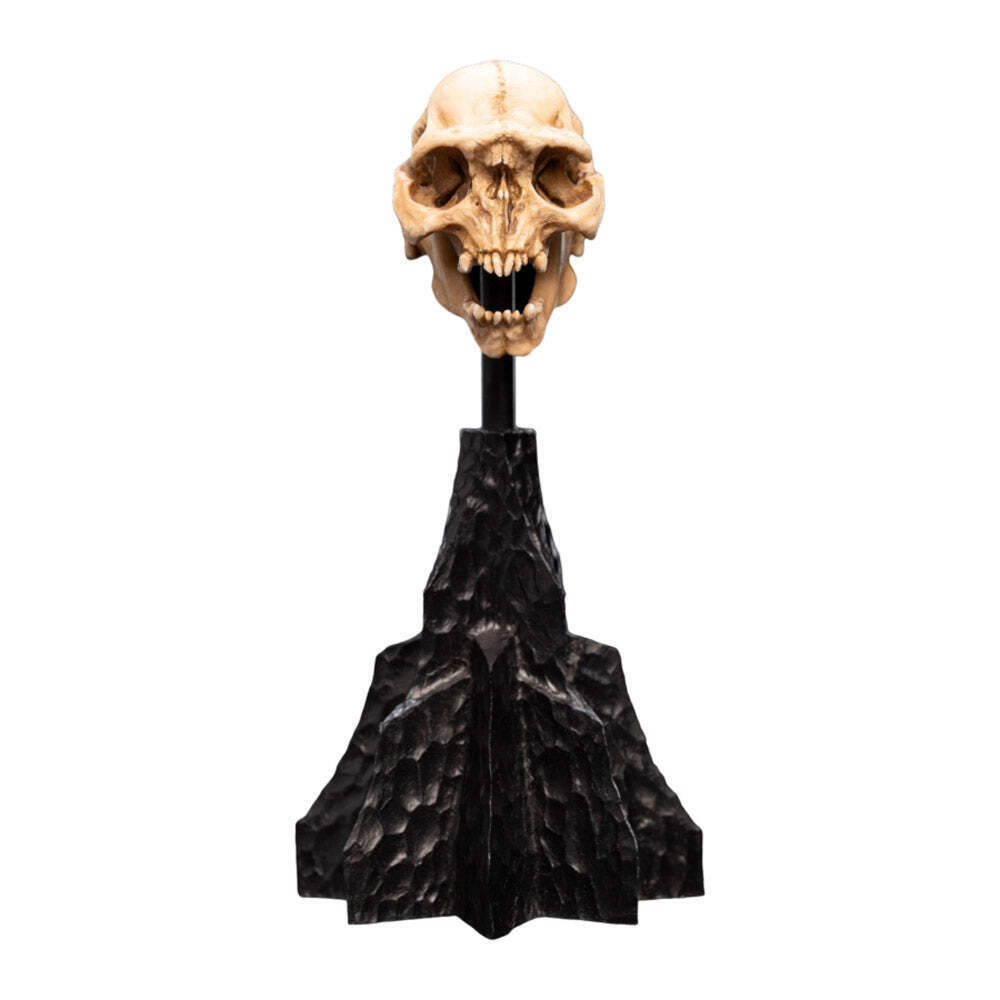 Cráneo de un orco de Moria en miniatura de El Señor de los Anillos