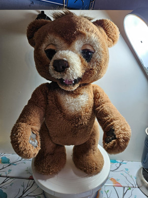 HASBRO FELL ECHTER KUBBY DER NEUGIERIGE BÄR INTERAKTIVER SPRECHENDER BÄR