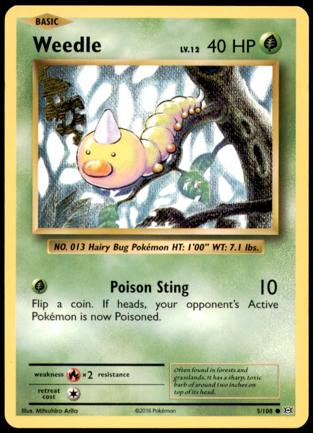 WEEDLE - 5/108 - EVOLUTIONS - LP/NM - POKEMON - - COMMON - -