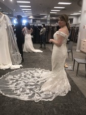 Beautiful Vera Wang Size 10 Pale Ivory Wedding Dress with Train Never Worn. NWT