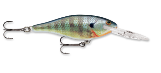 Lot Rapala Shad Rap SR-7 – Couleur Custom – Non Pêché – Crankbait