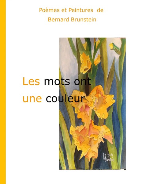 Bernard Brunstein | Les Mots Ont Une Couleur | Taschenbuch | FranzöSisch (2016)-image