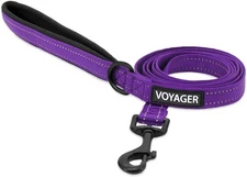 Voyager Reflective Dog Leash with Neoprene Handle 5ft Long Supports Small Med...