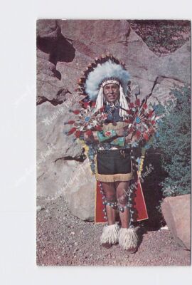 PPC Postcard Native Americana North American Indian Chief In Full Dress Costume