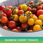 Rainbow Cherry Tomato Mix Seed
