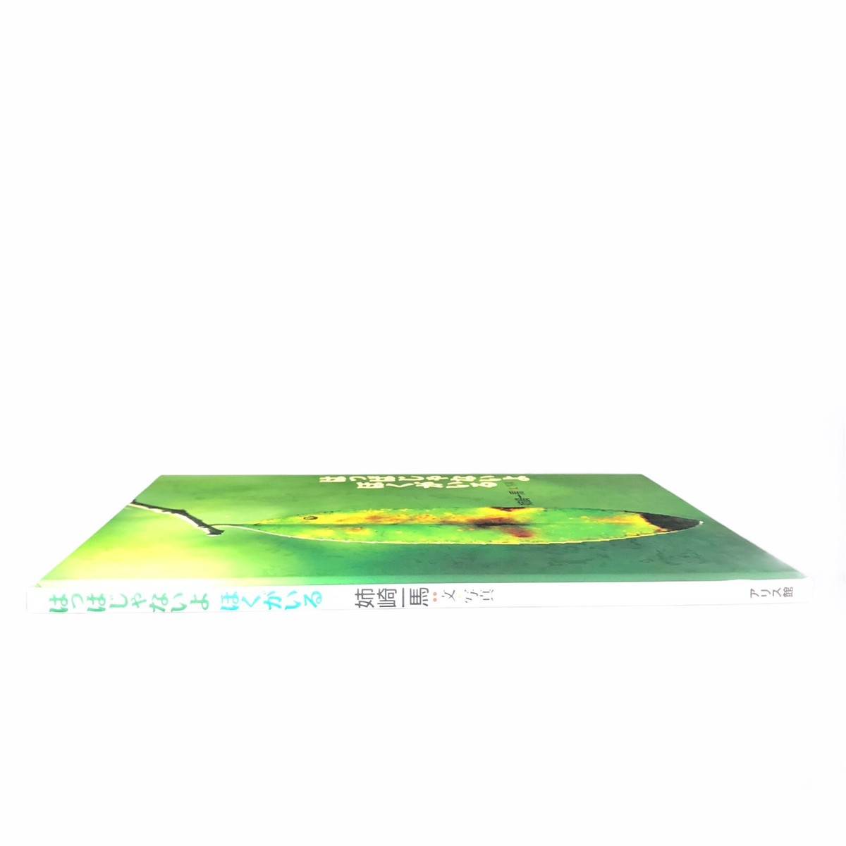 英語絵本4セット　(Leveled Book AA 、A、B、C)欠番なし 英語絵本4セット (Leveled Book AA 、A、B、C)欠番なし