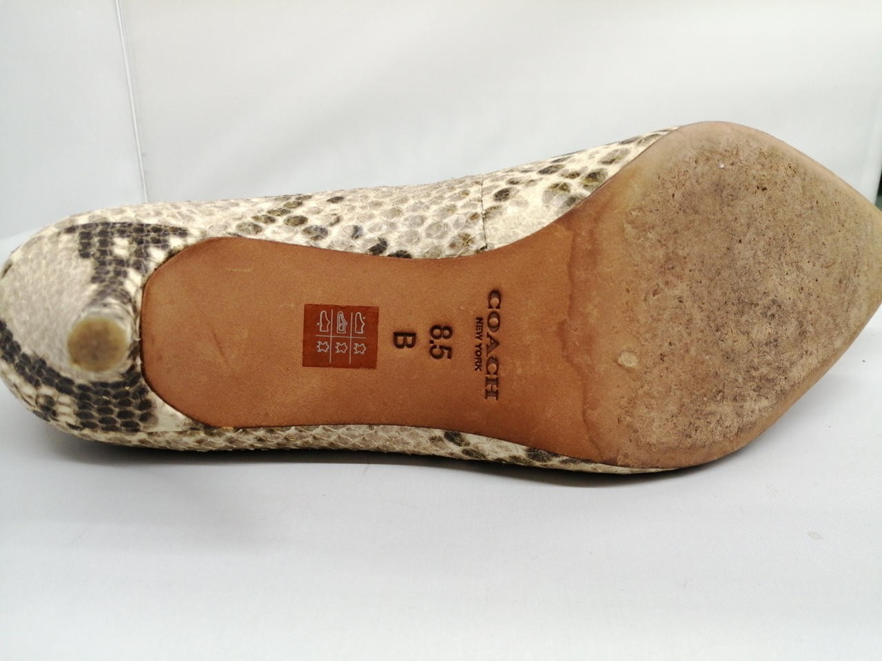 Coach Python Pattern 26.5Cm Pumps High Heels FY274 - image 7