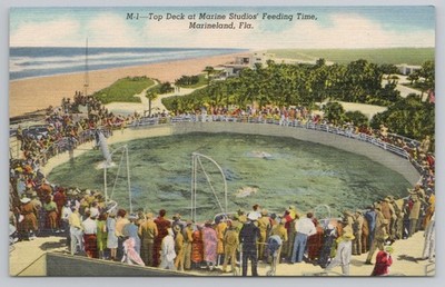 Top Deck at Marine Studios Marineland Florida FL Postcard Linen