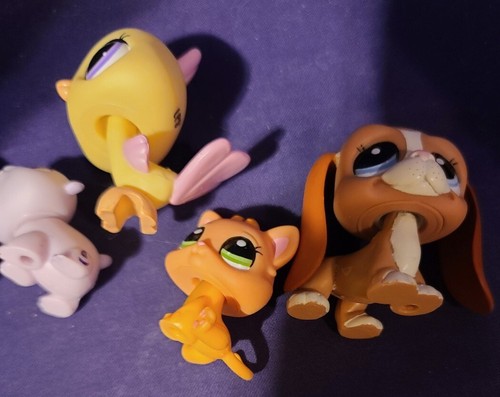 Authentic Littlest Pet Shop LPS CARE FOR ME 2016 2017 2018 2019 2020 Kitten Dog - Picture 10 of 11