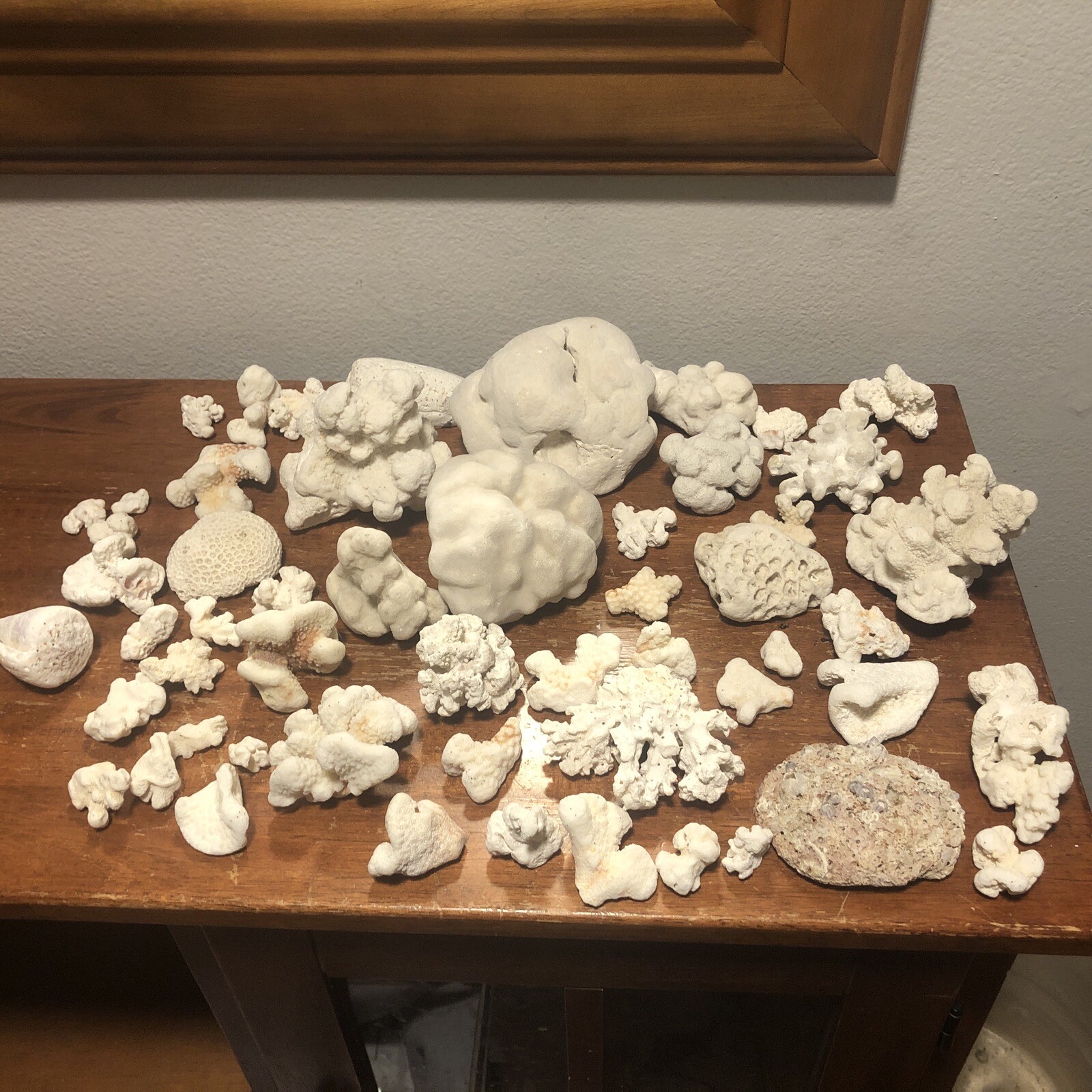 Lot of Coral Reef White Aquarium Decor Large Lot eBay