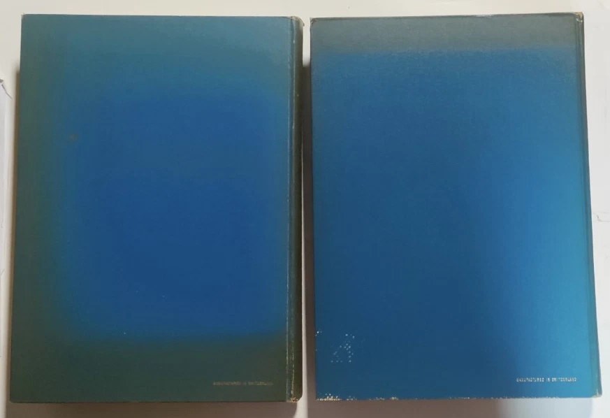 Italian Painting - Two Volumes - Albert Skira, Geneva, Switzerland, 1950-51 Foto 3 de 4