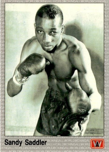 Vintage AW Sports 1991 All World Boxing Premier Edition Single Cards - You Pick - Picture 198 of 225