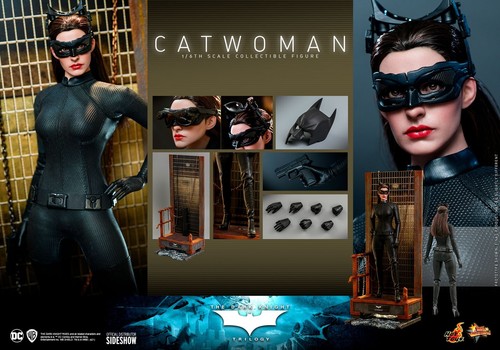 Hot Toys Catwoman 1:6 Scale Figure The Dark Knight Rises Anne Hathaway MMS627