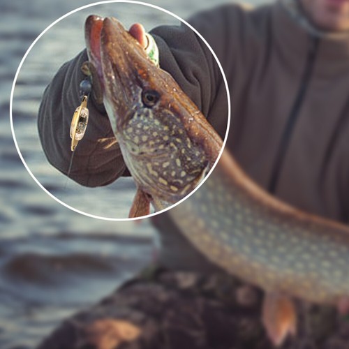 CARP pêche leurre Pesca LED Deep Drop oeil sous-marin forme Squid poisson leurre - Photo 3/9
