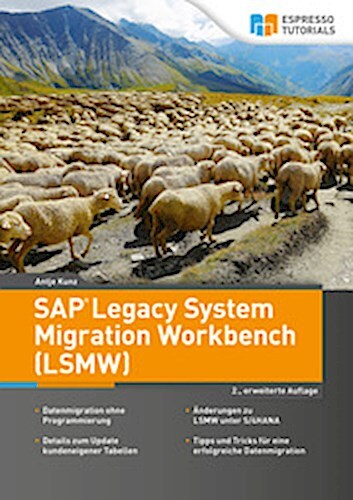Sap Legacy System Migration Workbench (lsmw) Antje Kunz