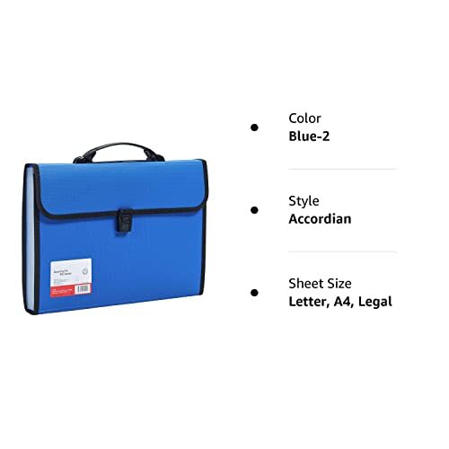 13 Pocket Accordian File Organizer Expanding Folder w/ Handle & Buckle ...