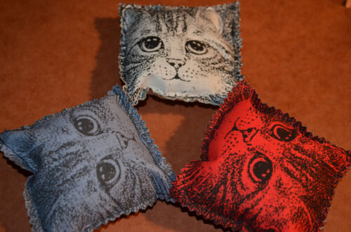 * ONE TOY*  CATNIP PILLOW S CAT TOYS   CATNIP HARVESTED IN THE USA! - Picture 1 of 4