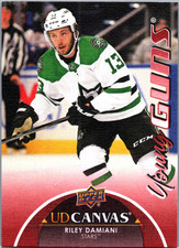 2021-22 Upper Deck Riley Damiani Canvas Young Guns #C364 RC