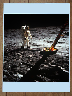 Astronaut Edwin E. Aldrin Jr., lunar module pilot NASA Photograph Poster 18x24in