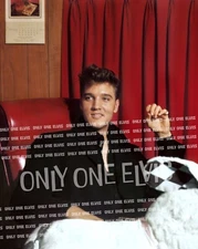 1960 ELVIS PRESLEY at GRACELAND (8x10 PHOTO) "IN HIS OFFICE" 002