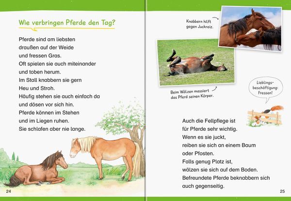 Thumbnail - Wieso? Weshalb? Warum? Erstleser, Band 6: Pferde