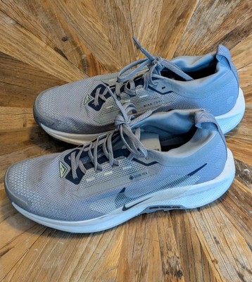 Nike Pegasus Trail 5 GORE-TEX Men s Sneakers Gray/Blue FQ0908-006