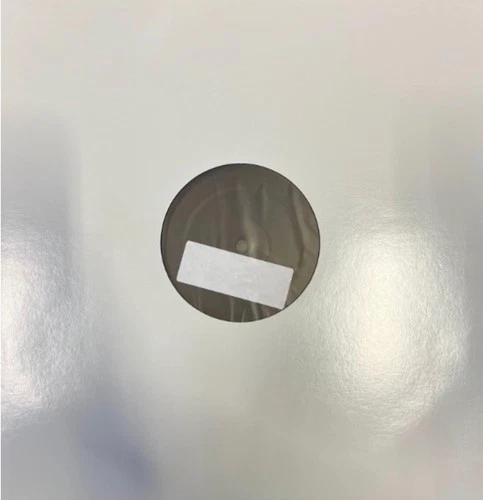 Bleached "Ride Your Heart" - Test Pressing (DOC082)