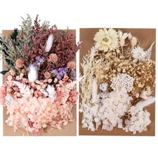 2Pack Real Dried Flowers, Natural Dry Flowers Mixed Natural Pressed Flowers F...