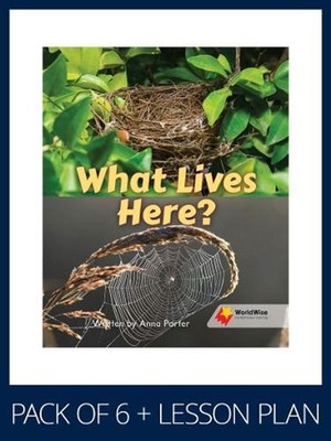 WorldWise Guided Reading Pack Level 1, Pack 4: Student book (x6) and lesson plan