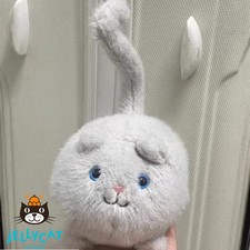Kitten Caboodle - Black Jellycat | Jelly Journal
