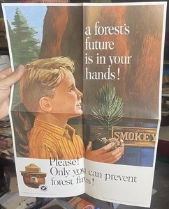 Original 1965 SMOKEY the BEAR Forest Service Prevent Fires POSTER Boy w/Seedling
