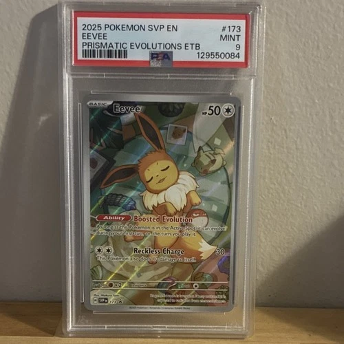 Pokémon Eevee 173 Sv: Scarlet & Violet Promo Holo English 2025 PSA 9 50 HP