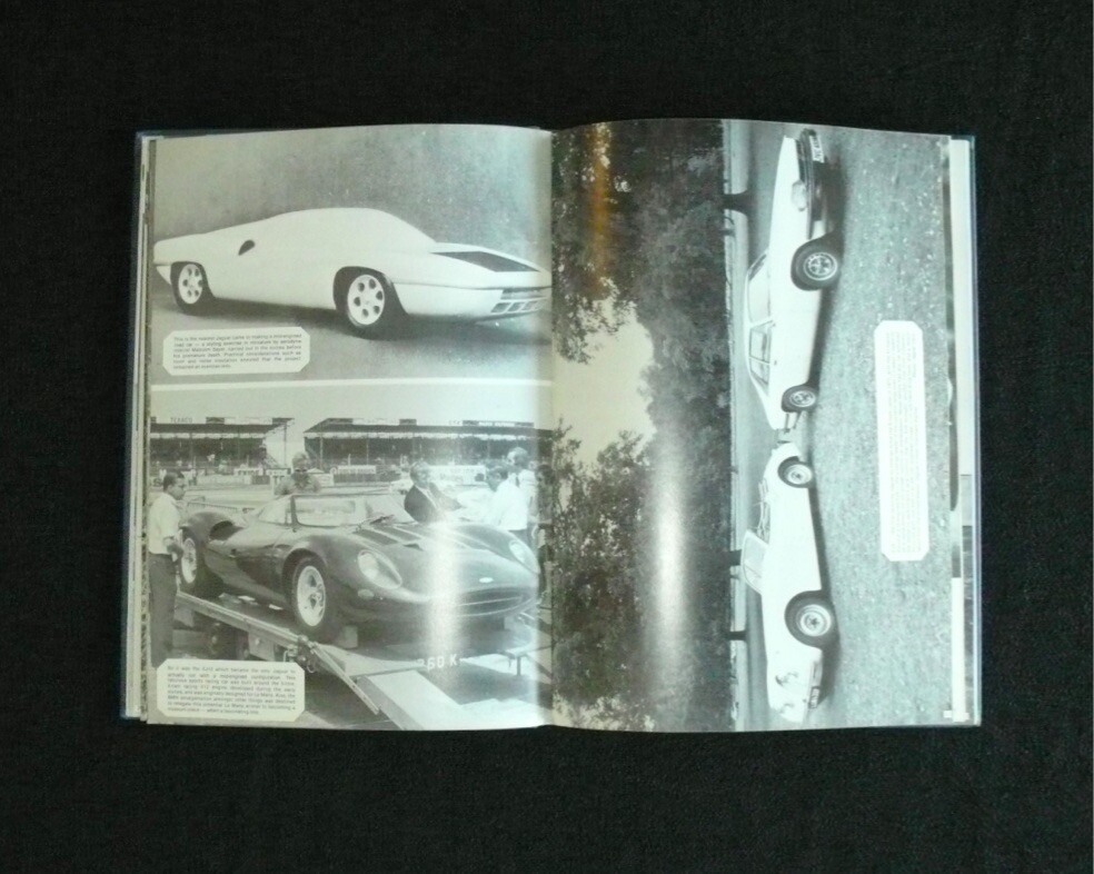 Picture 7 of 11
