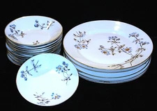 Antique Charles Field Haviland Limoges, France Schleiger #1311 Fine China