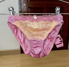 Vintage Pink Silky Nylon Hi Cut Panty Bikini Rayon Lace Sheer Floral Briefs Sz.5