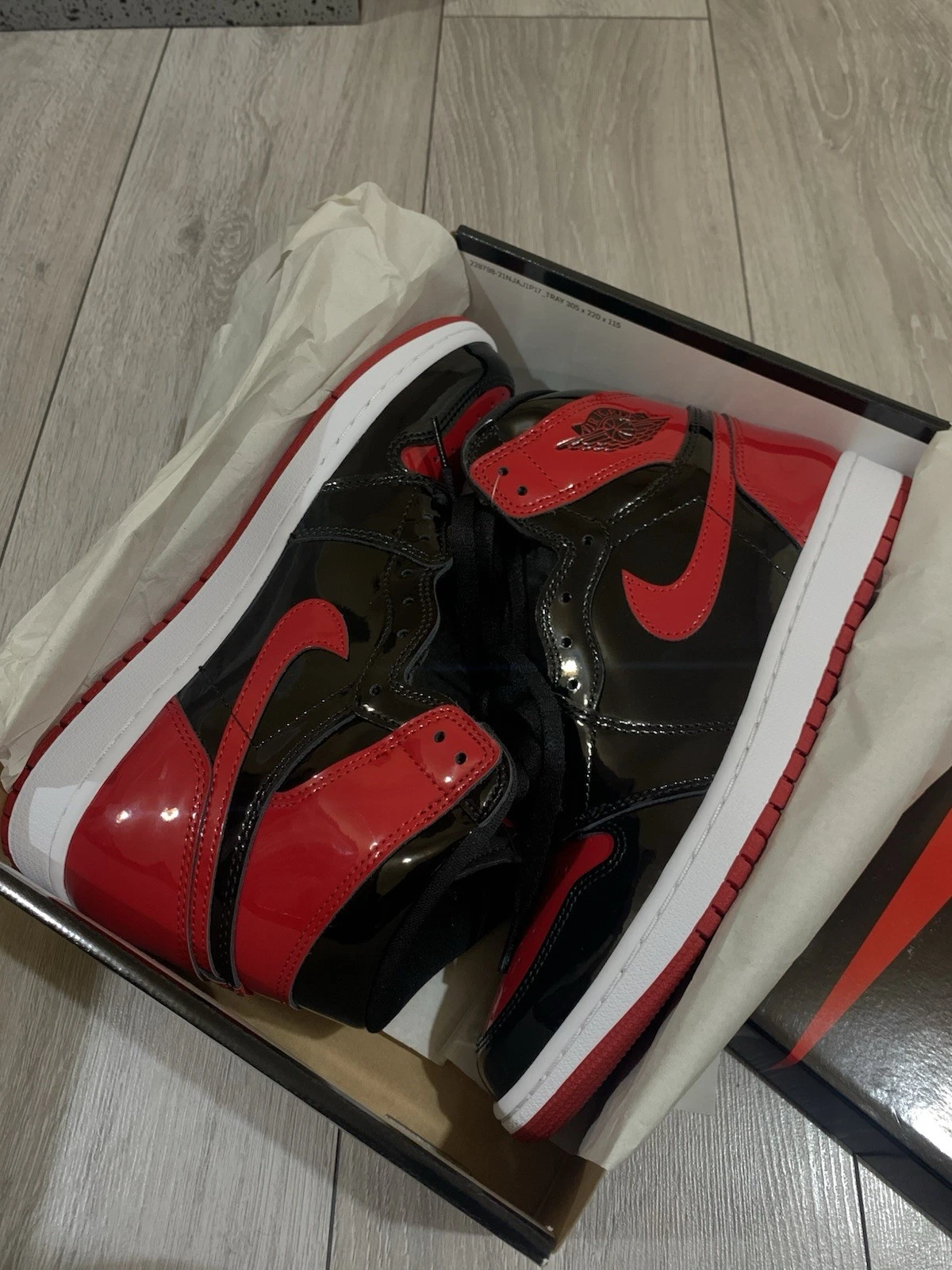 Jordan 1 Retro OG High Brevettato allevato