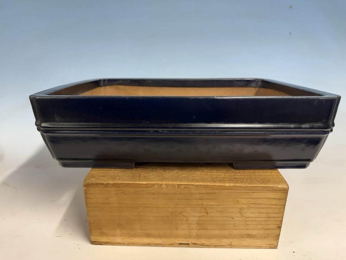 Clay Bonsais for sale | eBay