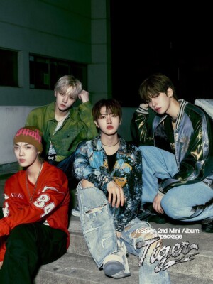 N.SSIGN TIGER Album LIMITED EDITION 2 Ver SET/2CD+2 Book+2Poster+2
