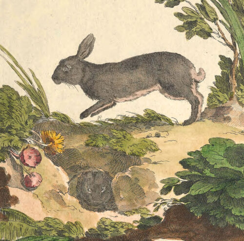 POSTER PRINT Easter Bunny Rabbits Lapin Hare Easter Decor Farmhouse Wall Art - Picture 2 of 4