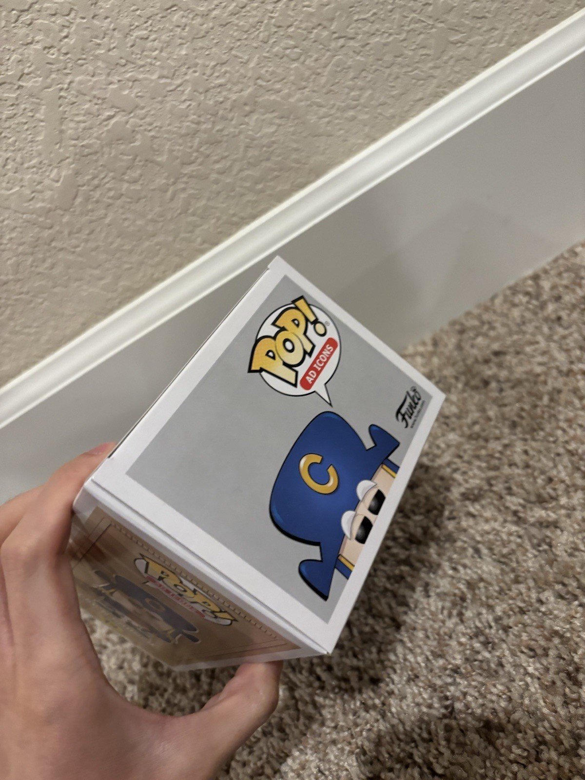 Picture 5 of 6