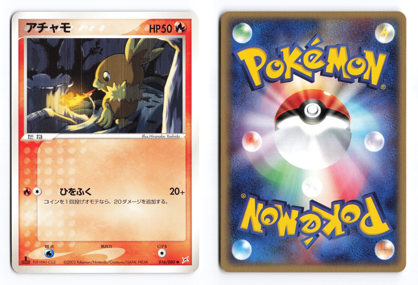 Torchic 016/080 Magma vs Aqua 1st Edition Common 2003 Japanese Pokemon TCG MP