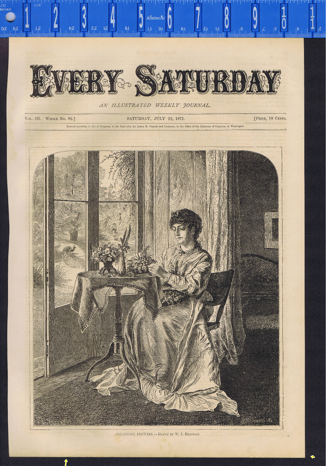 Victorian Lady at Table Arranging Flowers, Every Saturday, July 1871 Cover
