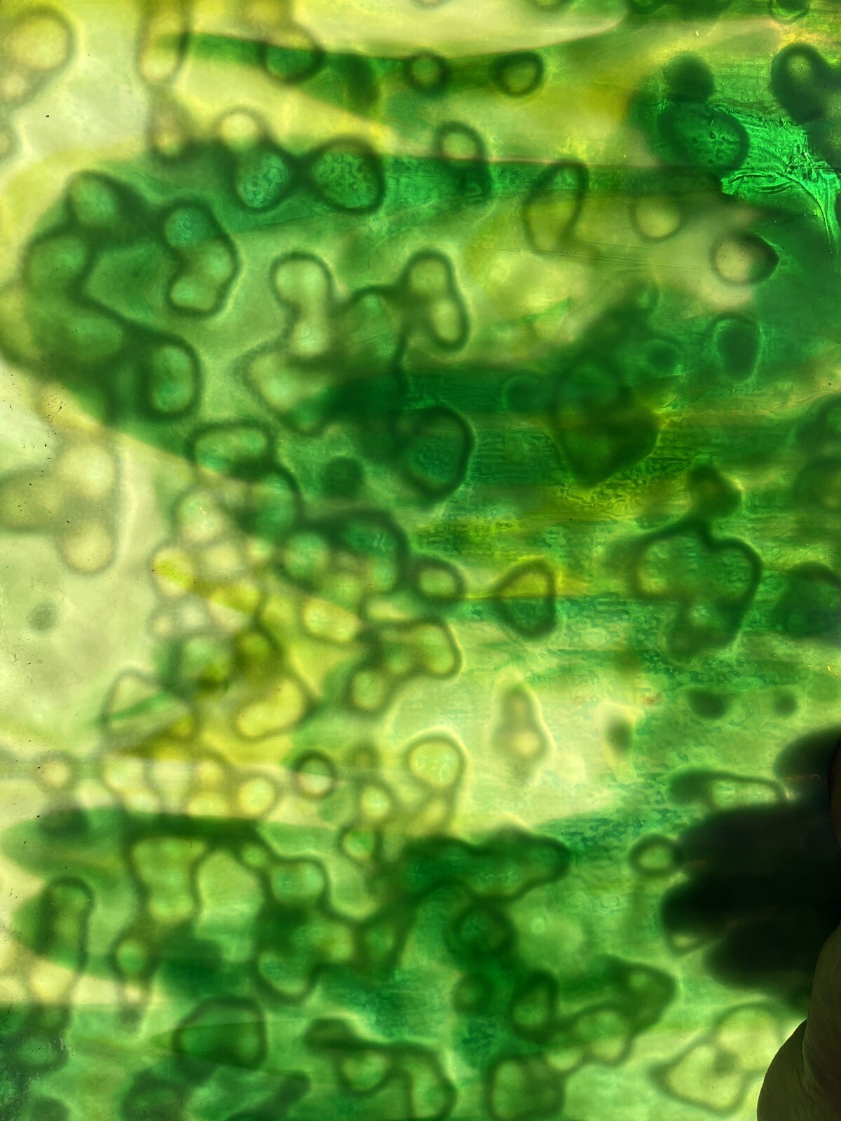 Vintage Uroboros Stained Glass Sheets2 Piece Set eBay