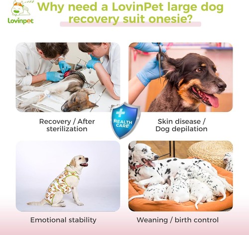 LovinPet Body für große Hunde nach der Operation Genesungsanzug Anti-Lecken Kleidung - Bild 4 von 6