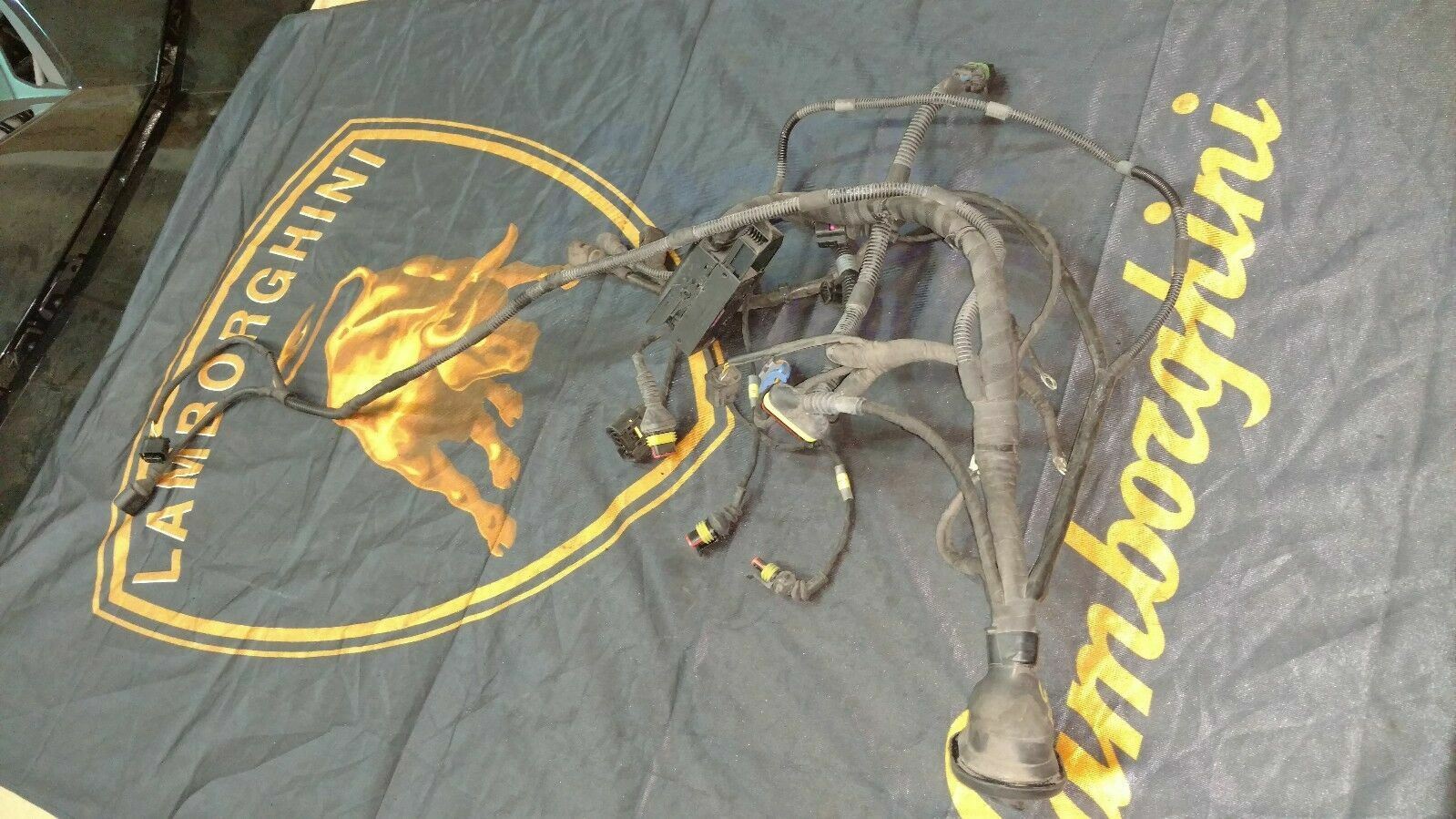 LAMBORGHINI GALLARDO FRONT LEFT DRIVER SIDE WIRING HARNESS PIG TAILS 