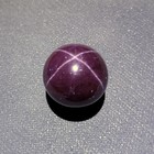 Foto 24 di 24