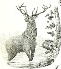 MO $139.15 The MAYSVILLE Bank Missouri June 5th, 1881 Bank Check