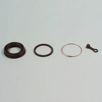 Bremssattel Bremszangen Reparatursatz Vorne FüR Yamaha XS 500 Bj. 1976-1979