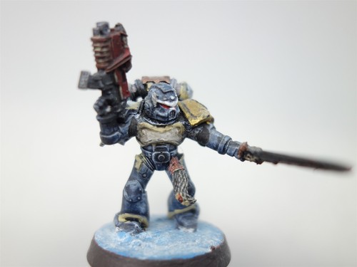 Warhammer 40K Space Wolves - Grey Hunters (painted oop plastic) - Picture 3 of 12