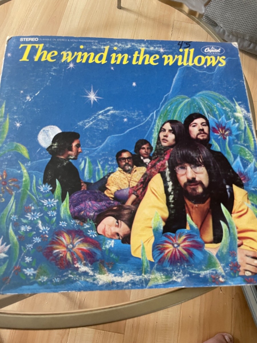 Deborah Harry参加！THE WIND IN THE WILLOWS The Wind IN Willows Same (1st Band Of Debbie Harry 